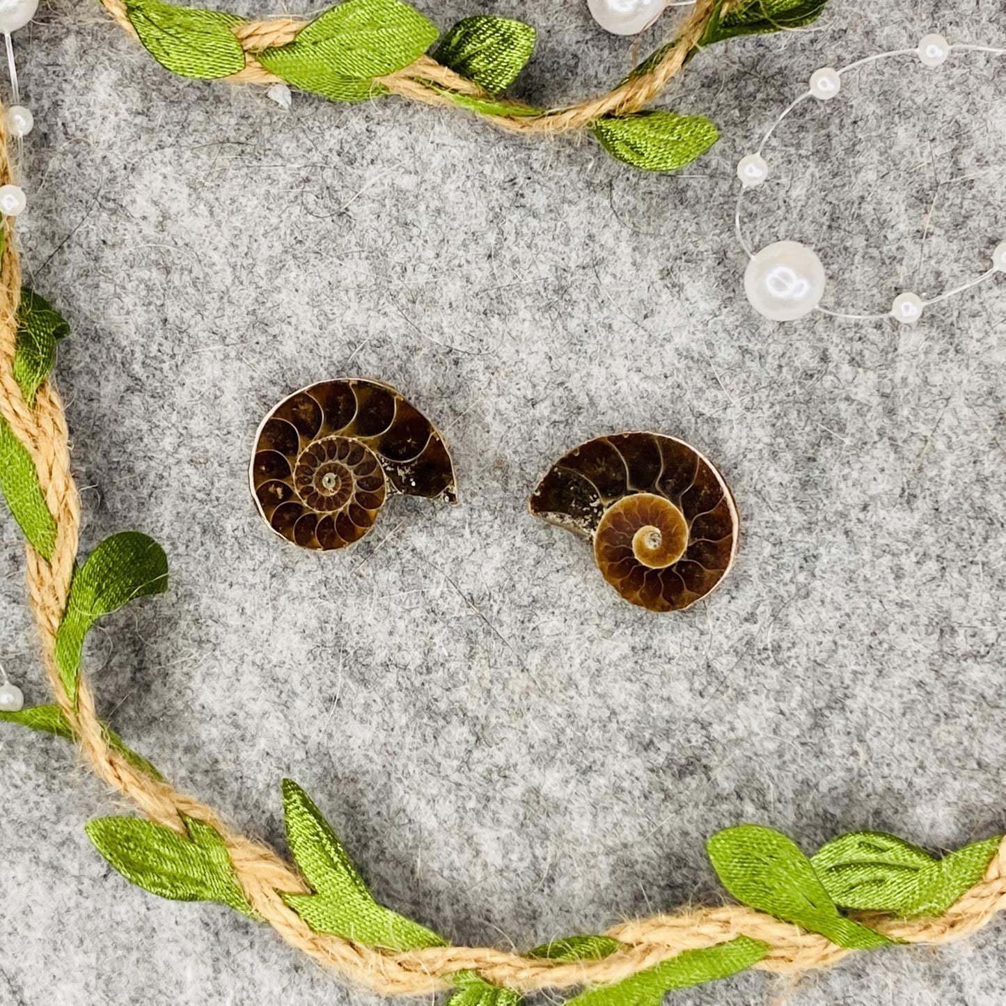 Ammonit - Pair